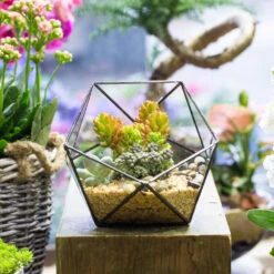 Handmade Bowl Shape Geometric Glass Terrarium For Garden Plants Succulents Moss Airplants -Ncyp Garden Sale Shop product image 575616779