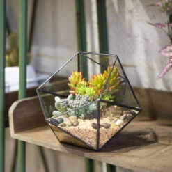 Handmade Bowl Shape Geometric Glass Terrarium For Garden Plants Succulents Moss Airplants -Ncyp Garden Sale Shop product image 575616780