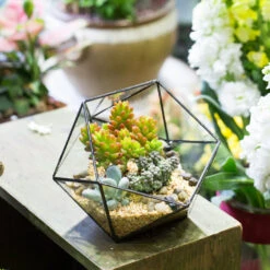 Handmade Bowl Shape Geometric Glass Terrarium For Garden Plants Succulents Moss Airplants -Ncyp Garden Sale Shop product image 575616799