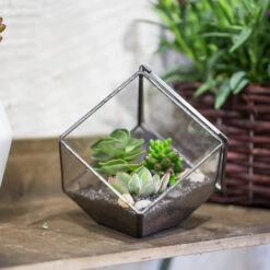 Handmade 10cm / 15cm Inclined Cube Glass Black Geometric Terrarium With Door For Succulent Moss -Ncyp Garden Sale Shop product image 575619539