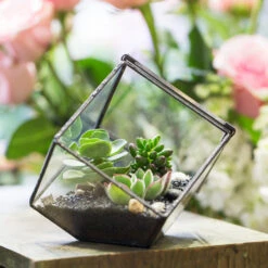 Handmade 10cm / 15cm Inclined Cube Glass Black Geometric Terrarium With Door For Succulent Moss -Ncyp Garden Sale Shop product image 575619541