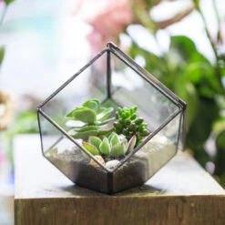 Handmade 10cm / 15cm Inclined Cube Glass Black Geometric Terrarium With Door For Succulent Moss -Ncyp Garden Sale Shop product image 575619542