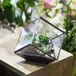 Handmade 10cm / 15cm Inclined Cube Glass Black Geometric Terrarium With Door For Succulent Moss -Ncyp Garden Sale Shop product image 575619544