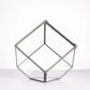 Handmade 10cm / 15cm Inclined Cube Glass Black Geometric Terrarium With Door For Succulent Moss