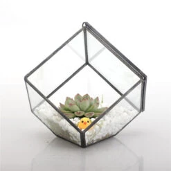 Handmade 10cm / 15cm Inclined Cube Glass Black Geometric Terrarium With Door For Succulent Moss -Ncyp Garden Sale Shop product image 575619547