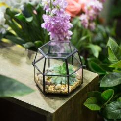 Handmade Small Glass Jewelry Geometric Box Terrarium For Succulents Ring Box 18 Handmade Small Glass Jewelry Geometric Box Terrarium For Succulents Ring Box -Ncyp Garden Sale Shop product image 580459536