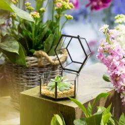 Handmade Small Glass Jewelry Geometric Box Terrarium For Succulents Ring Box 21 Handmade Small Glass Jewelry Geometric Box Terrarium For Succulents Ring Box -Ncyp Garden Sale Shop product image 580459539