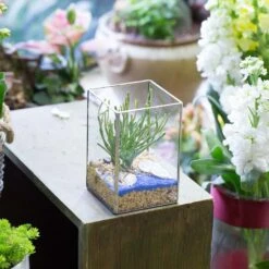 Handmade Silver Long Geometric Glass Terrarium For Succulents Moss Cacti Fern 10 Handmade Silver Long Geometric Glass Terrarium For Succulents Moss Cacti Fern -Ncyp Garden Sale Shop product image 582216028