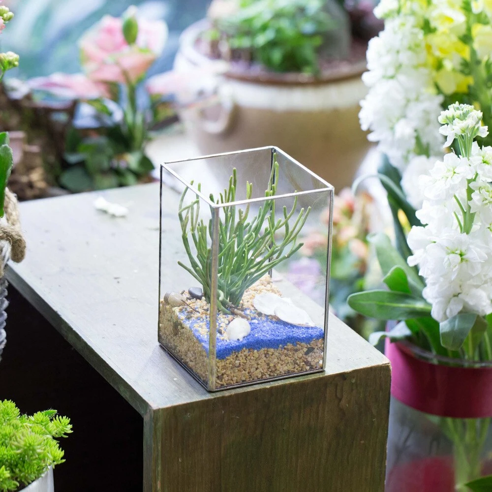 Handmade Silver Long Geometric Glass Terrarium For Succulents Moss Cacti Fern 3 Handmade Silver Long Geometric Glass Terrarium For Succulents Moss Cacti Fern - Image 3
