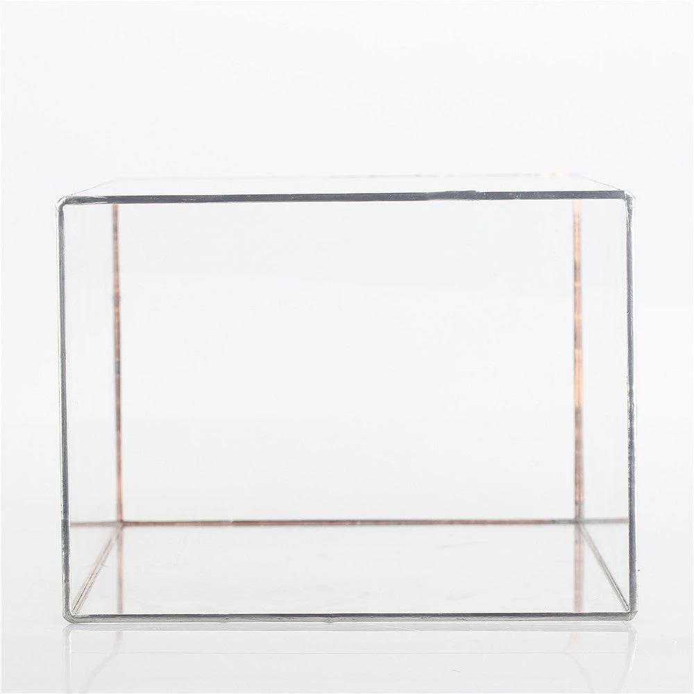 Handmade Silver Long Geometric Glass Terrarium For Succulents Moss Cacti Fern 8 Handmade Silver Long Geometric Glass Terrarium For Succulents Moss Cacti Fern - Image 8