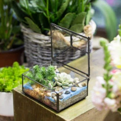 Handmade Small Jewelry Box Geometric Glass Terrarium With Cover For Airplants Succulents Moss Ring -Ncyp Garden Sale Shop product image 587489742