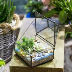 Handmade Small Jewelry Box Geometric Glass Terrarium With Cover For Airplants Succulents Moss Ring -Ncyp Garden Sale Shop product image 587489743