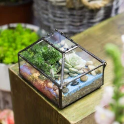 Handmade Small Jewelry Box Geometric Glass Terrarium With Cover For Airplants Succulents Moss Ring -Ncyp Garden Sale Shop product image 587489757