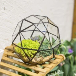 Handmade Triangular Pentagon Mix 32-Sides Clear Glass Geometric Centerpiece Terrarium For Succulents -Ncyp Garden Sale Shop product image 594319588