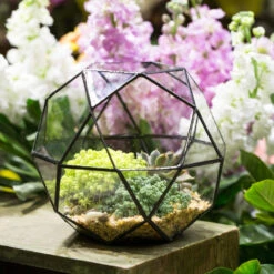 Handmade Triangular Pentagon Mix 32-Sides Clear Glass Geometric Centerpiece Terrarium For Succulents -Ncyp Garden Sale Shop product image 594319591