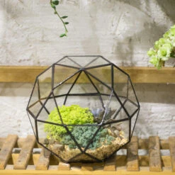 Handmade Triangular Pentagon Mix 32-Sides Clear Glass Geometric Centerpiece Terrarium For Succulents -Ncyp Garden Sale Shop product image 594319615