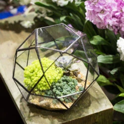Handmade Triangular Pentagon Mix 32-Sides Clear Glass Geometric Centerpiece Terrarium For Succulents -Ncyp Garden Sale Shop product image 594319619