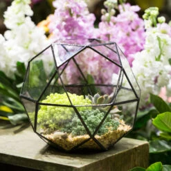 Handmade Triangular Pentagon Mix 32-Sides Clear Glass Geometric Centerpiece Terrarium For Succulents -Ncyp Garden Sale Shop product image 594319620