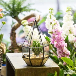 Handmade Hanging Six-surface With 3 Spaced Opening Glass Geometric Terrarium For Succulent Cacti -Ncyp Garden Sale Shop product image 598245040