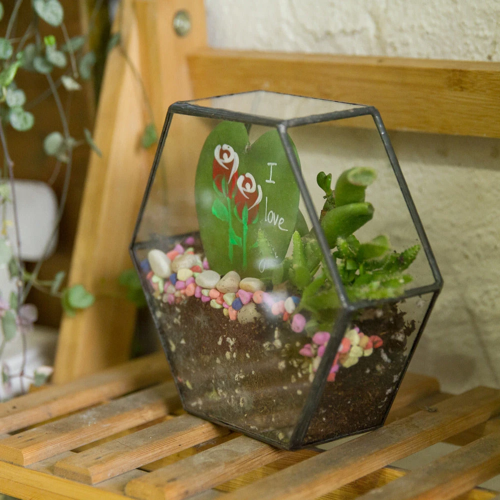 Handmade HoneycombThin Glass Geometric Terrarium For Succulents Moss 8 Handmade HoneycombThin Glass Geometric Terrarium For Succulents Moss - Image 8