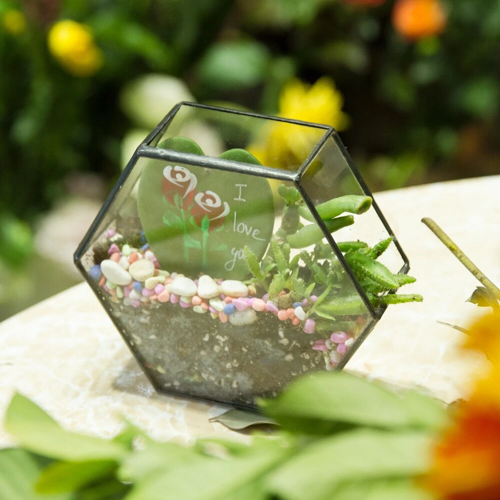 Handmade HoneycombThin Glass Geometric Terrarium For Succulents Moss 10 Handmade HoneycombThin Glass Geometric Terrarium For Succulents Moss - Image 10