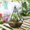 Handmade Small Teardrop Hanging Clear Glass Geometric Terrarium For Succulent Fern Airplants