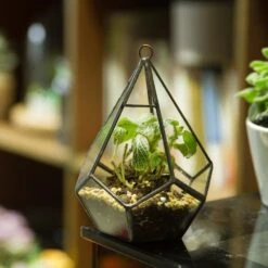 Handmade Small Teardrop Hanging Clear Glass Geometric Terrarium For Succulent Fern Airplants -Ncyp Garden Sale Shop product image 639286728