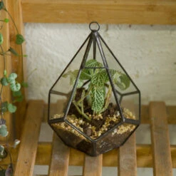 Handmade Small Teardrop Hanging Clear Glass Geometric Terrarium For Succulent Fern Airplants -Ncyp Garden Sale Shop product image 639286737