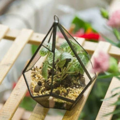 Handmade Small Teardrop Hanging Clear Glass Geometric Terrarium For Succulent Fern Airplants -Ncyp Garden Sale Shop product image 639286739