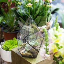 Handmade Black Artistic Four-surfaces Glass Geometric Terrarium For Succulents Airplants Moss -Ncyp Garden Sale Shop product image 639924226
