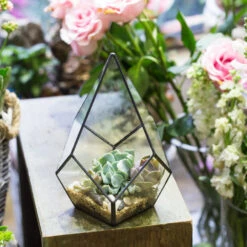 Handmade Black Artistic Four-surfaces Glass Geometric Terrarium For Succulents Airplants Moss -Ncyp Garden Sale Shop product image 639924227