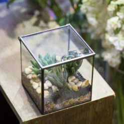 Handmade Small Square Glass Terrarium Box For Succulents Moss Jewelry Succulents -Ncyp Garden Sale Shop product image 639924300