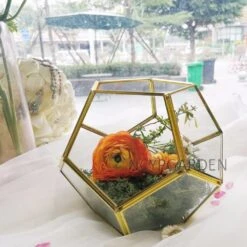 Handmade Gold Tabletop Polyhedron Glass Geometric Terrarium For Wedding Section Reception 21 Handmade Gold Tabletop Polyhedron Glass Geometric Terrarium For Wedding Section Reception -Ncyp Garden Sale Shop product image 679178243