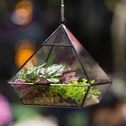 Handmade Black Vertebral Hanging Geometric Glass Terrarium For Succulent Fern Moss 25 Handmade Black Vertebral Hanging Geometric Glass Terrarium For Succulent Fern Moss -Ncyp Garden Sale Shop product image 679267977