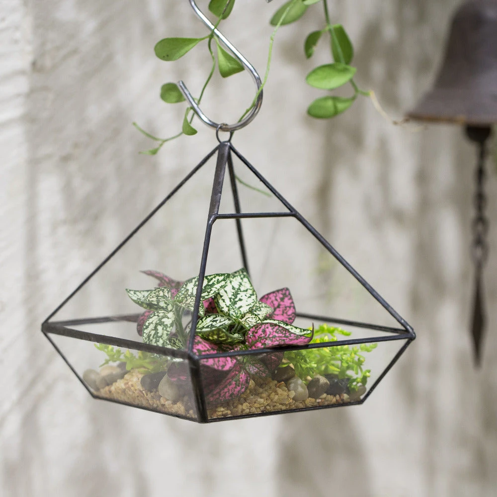Handmade Black Vertebral Hanging Geometric Glass Terrarium For Succulent Fern Moss 10 Handmade Black Vertebral Hanging Geometric Glass Terrarium For Succulent Fern Moss - Image 10