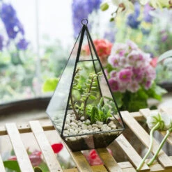 Handmade Glass Geometric Terrarium Indoor Outdoor Planter Landscape Wall Pyramid For Succulents 25 Handmade Glass Geometric Terrarium Indoor Outdoor Planter Landscape Wall Pyramid For Succulents -Ncyp Garden Sale Shop product image 681089940