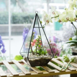 Handmade Glass Geometric Terrarium Indoor Outdoor Planter Landscape Wall Pyramid For Succulents 19 Handmade Glass Geometric Terrarium Indoor Outdoor Planter Landscape Wall Pyramid For Succulents -Ncyp Garden Sale Shop product image 681089942