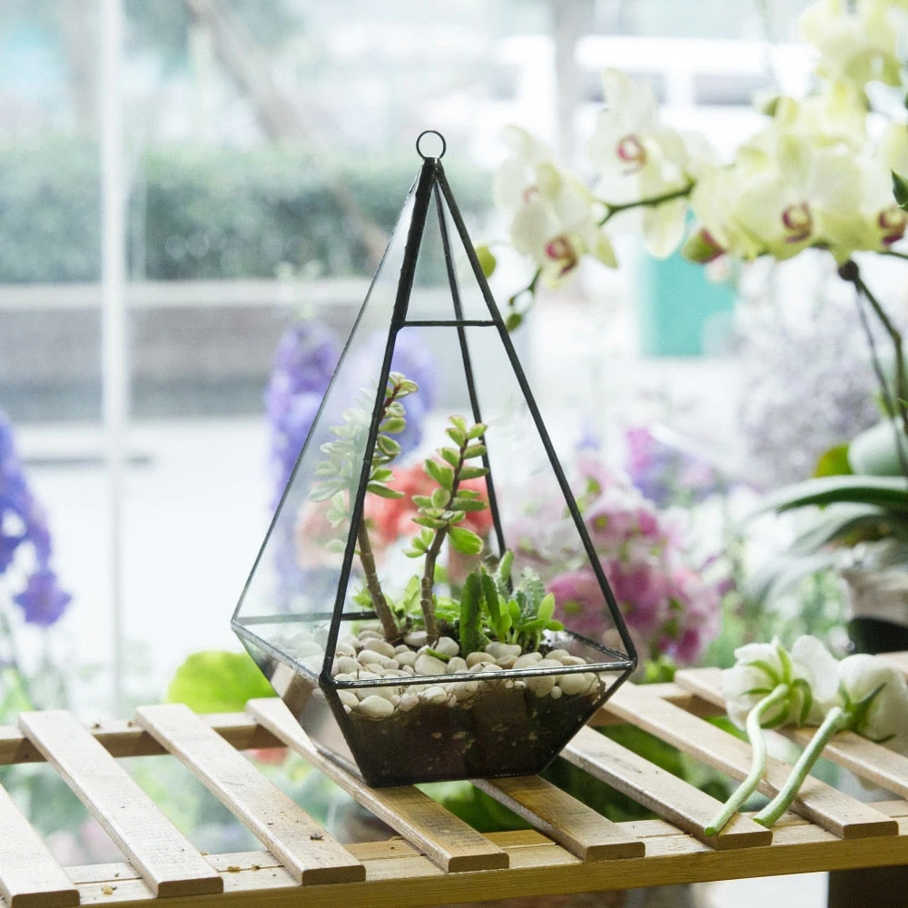 Handmade Glass Geometric Terrarium Indoor Outdoor Planter Landscape Wall Pyramid For Succulents 7 Handmade Glass Geometric Terrarium Indoor Outdoor Planter Landscape Wall Pyramid For Succulents - Image 7
