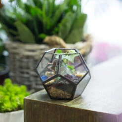 Handmade Mini Black Pentagon Glass Geometric Terrarium For Ring Box Moss -Ncyp Garden Sale Shop product image 693688932