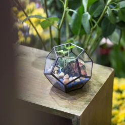 Handmade Mini Black Pentagon Glass Geometric Terrarium For Ring Box Moss -Ncyp Garden Sale Shop product image 693688933