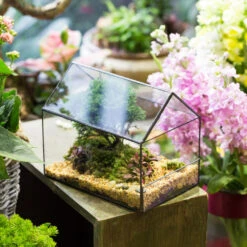 Handmade House Shape Open On The Side Glass Geometric Terrarium For Fern Moss Succulents Airplants -Ncyp Garden Sale Shop product image 700447776