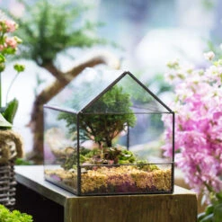 Handmade House Shape Open On The Side Glass Geometric Terrarium For Fern Moss Succulents Airplants -Ncyp Garden Sale Shop product image 700447778