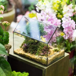 Handmade House Shape Open On The Side Glass Geometric Terrarium For Fern Moss Succulents Airplants -Ncyp Garden Sale Shop product image 700447782