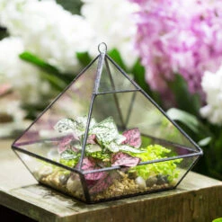 Handmade Black Vertebral Hanging Geometric Glass Terrarium For Succulent Fern Moss 19 Handmade Black Vertebral Hanging Geometric Glass Terrarium For Succulent Fern Moss -Ncyp Garden Sale Shop product image 715714506
