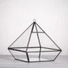 Handmade Black Vertebral Hanging Geometric Glass Terrarium For Succulent Fern Moss