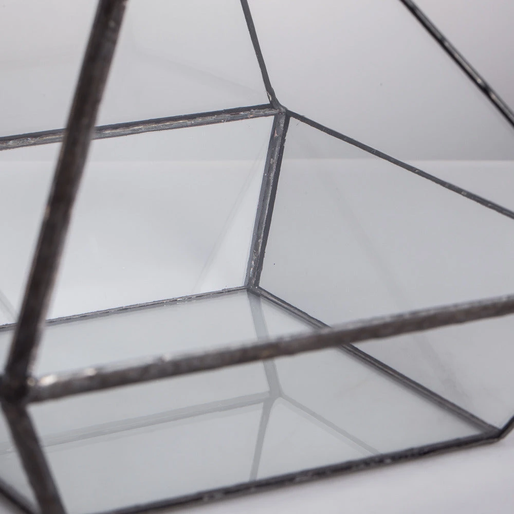 Handmade Black Vertebral Hanging Geometric Glass Terrarium For Succulent Fern Moss 9 Handmade Black Vertebral Hanging Geometric Glass Terrarium For Succulent Fern Moss - Image 9