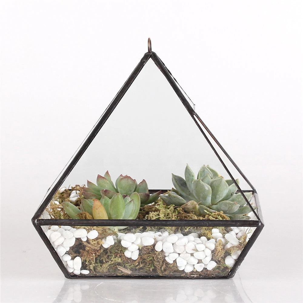 Handmade Black Vertebral Hanging Geometric Glass Terrarium For Succulent Fern Moss 11 Handmade Black Vertebral Hanging Geometric Glass Terrarium For Succulent Fern Moss - Image 11