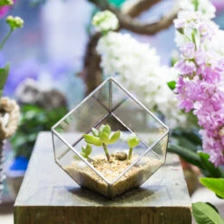 Handmade 3.93" / 10cm Silver Square Inclined Cube Glass Geometric Terrarium For Succulent Airplants -Ncyp Garden Sale Shop product image 729012700
