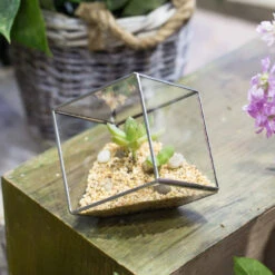 Handmade 3.93" / 10cm Silver Square Inclined Cube Glass Geometric Terrarium For Succulent Airplants -Ncyp Garden Sale Shop product image 729012701