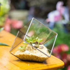 Handmade 3.93" / 10cm Silver Square Inclined Cube Glass Geometric Terrarium For Succulent Airplants -Ncyp Garden Sale Shop product image 729012703